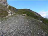 Obertauern - Gamsleitenspitze